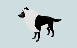 3D модель "Волк"