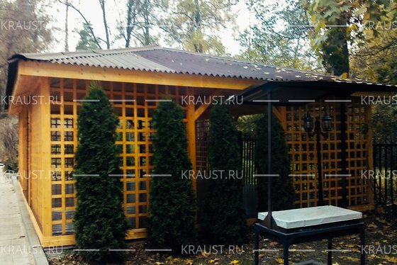Беседка Творческий порыв Краус г. Москва фото