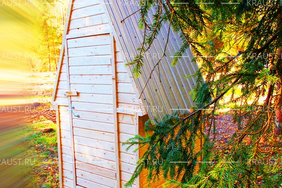 БК 01 + туалет, село Вороново фото