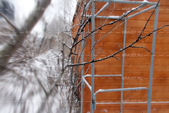 Деревянная баня г. Королев фото